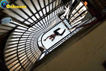Siatki Chodzież - Siatki na schody wykonane są z polipropylenu, który posiada dużo pozytywnych cech. dla terenów Chodzieży
